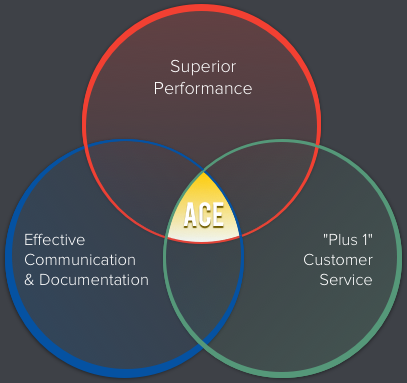 Circle chart: Superior Performance, Effective Communication & Documentation, and Plus 1 Customer Service combine to form ACE